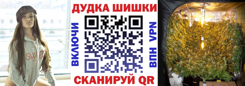 Купить закладки  Кореновск  Канабис семена 